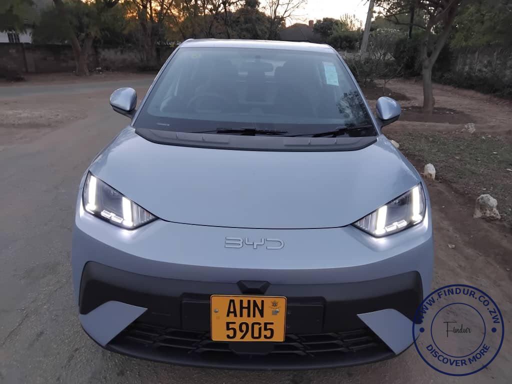 2018 BYD Dolphin